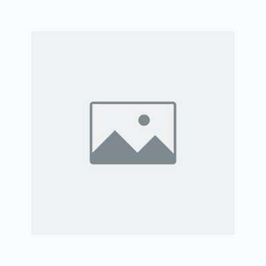 Example-Company logo